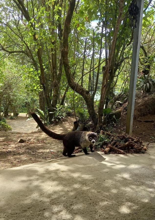 Belcruz Family Lodge Monteverde ภายนอก รูปภาพ