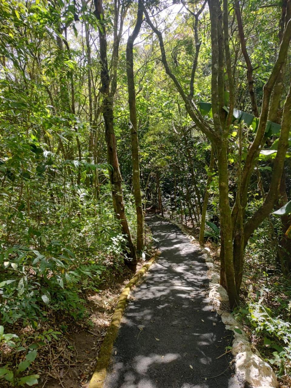 Belcruz Family Lodge Monteverde ภายนอก รูปภาพ